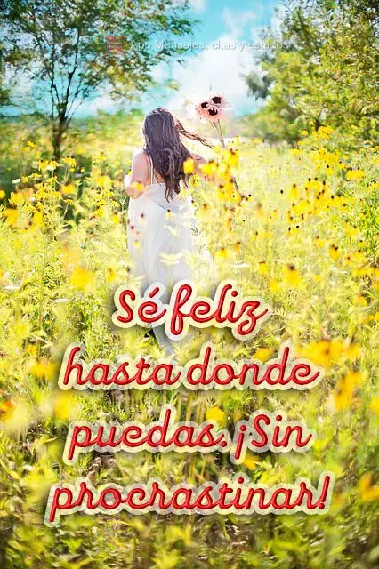 Sé feliz hasta donde puedas. ¡Sin procrastinar!