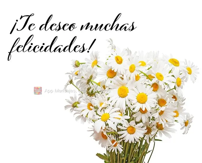 ¡Te deseo muchas felicidades!