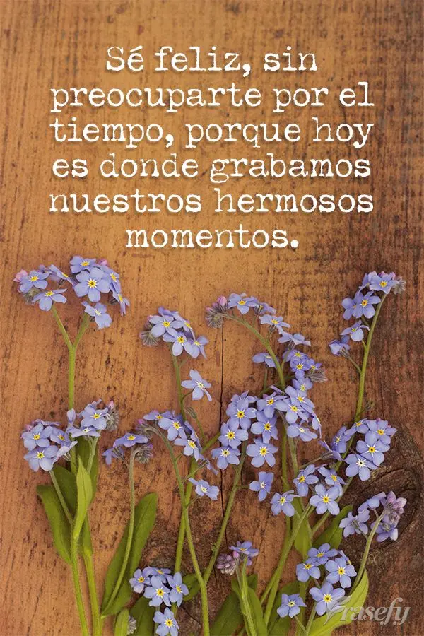 Seja feliz sem se importar com tempo, porque o hoje é onde deixamos gravados nossos lindos momentos.