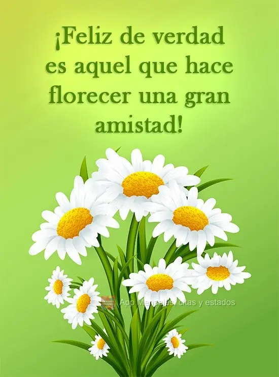 ¡Feliz de verdad es aquel que hace florecer una gran amistad!