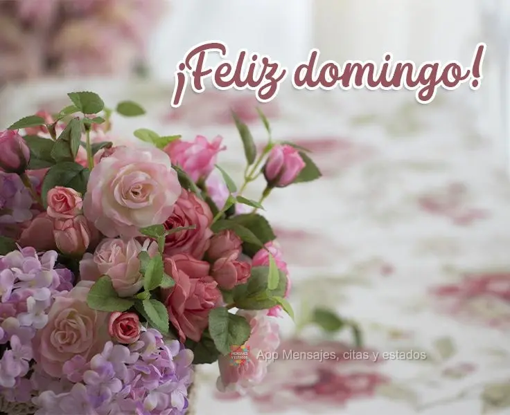 ¡Feliz domingo!
