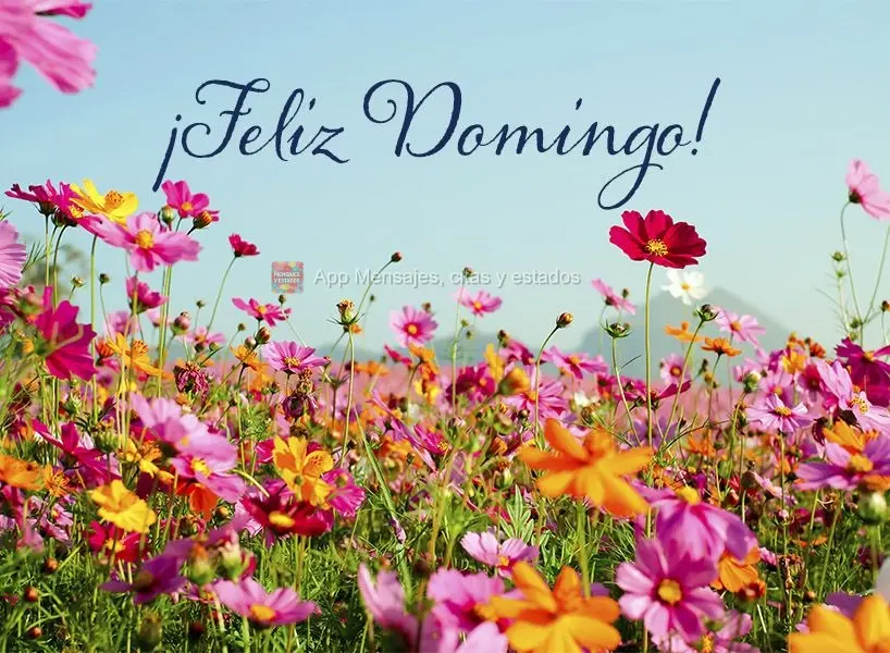 ¡Feliz domingo!