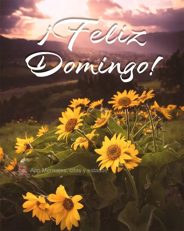 ¡Feliz Domingo!