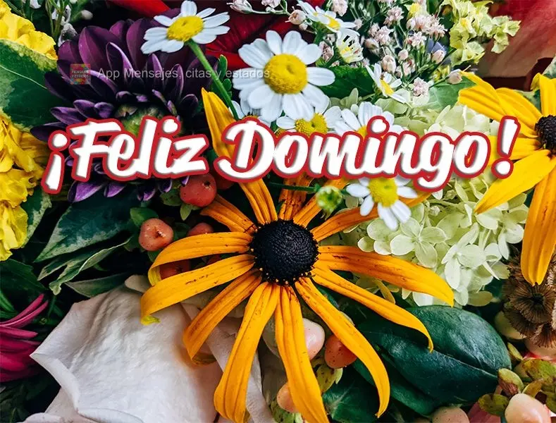 ¡Feliz Domingo!