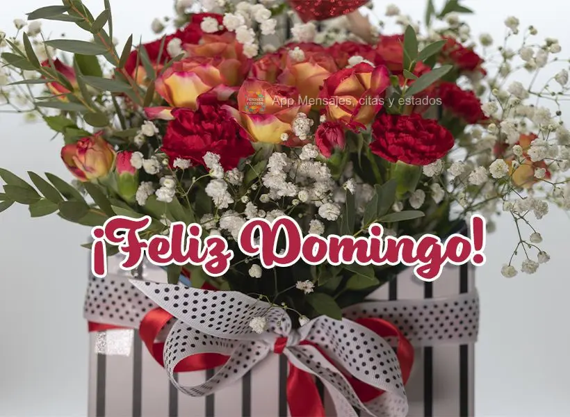 ¡Feliz Domingo!