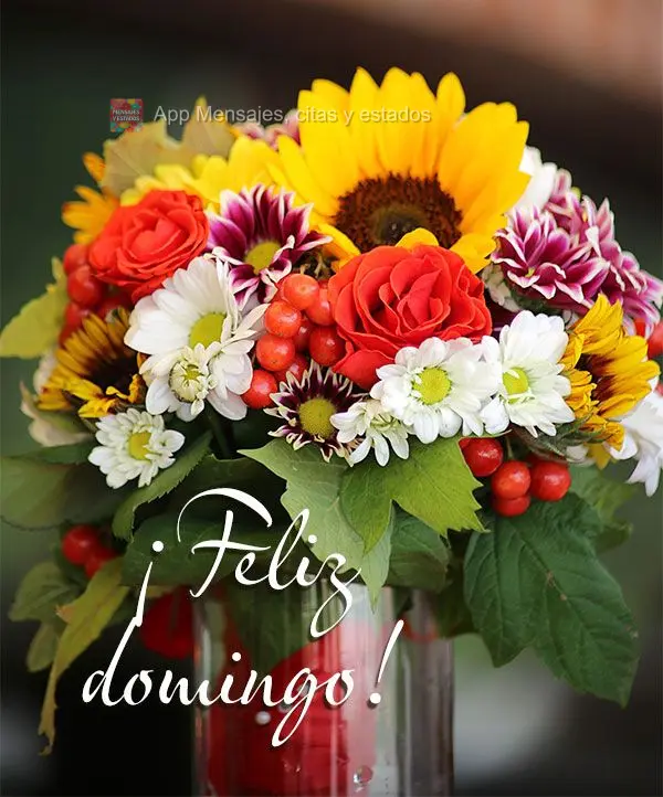 ¡Feliz domingo!