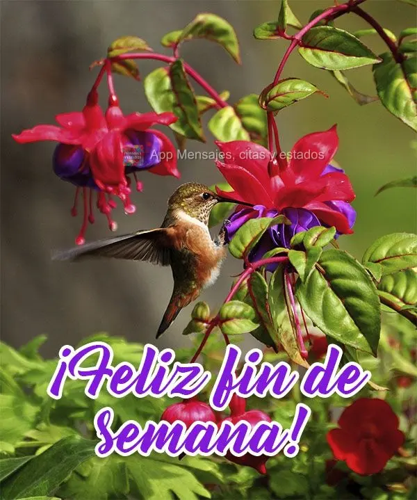 ¡Feliz fin de semana!