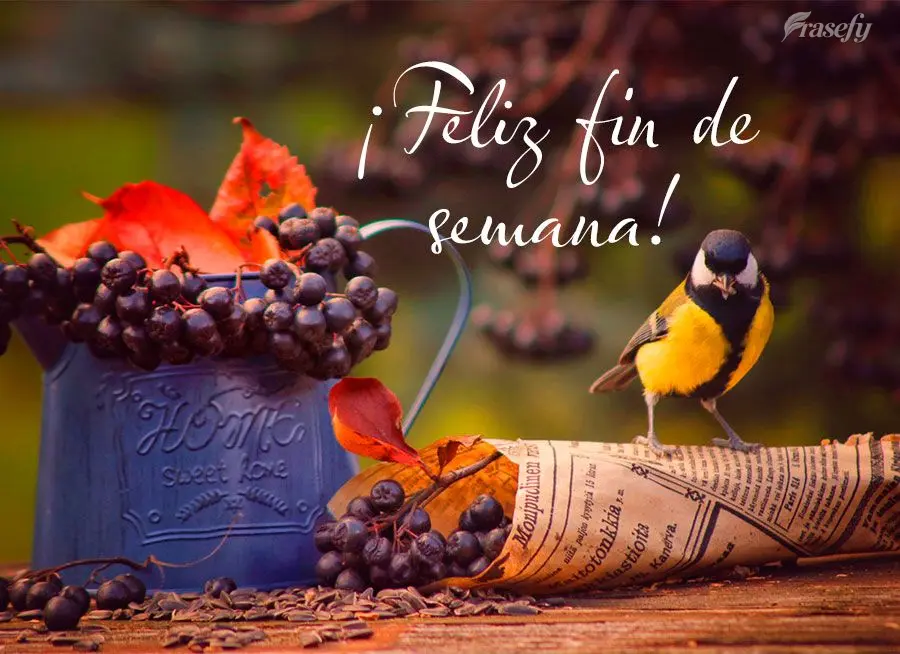 ¡Feliz fin de semana!