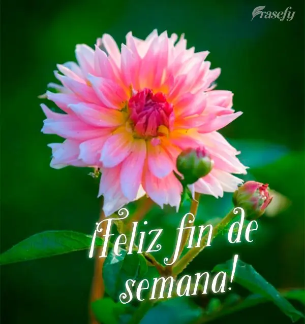 ¡Feliz fin de semana!