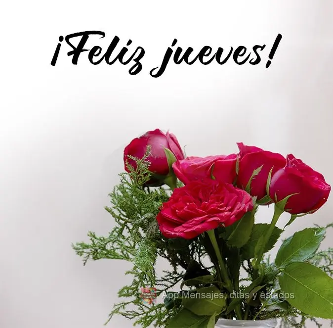 ¡Feliz jueves!