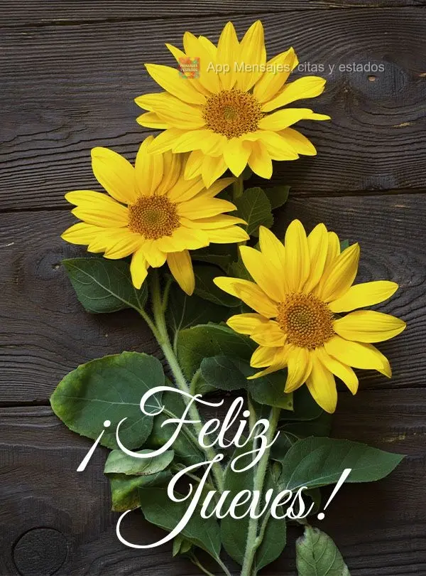 ¡Feliz jueves!