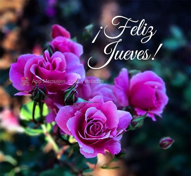 ¡Feliz jueves!