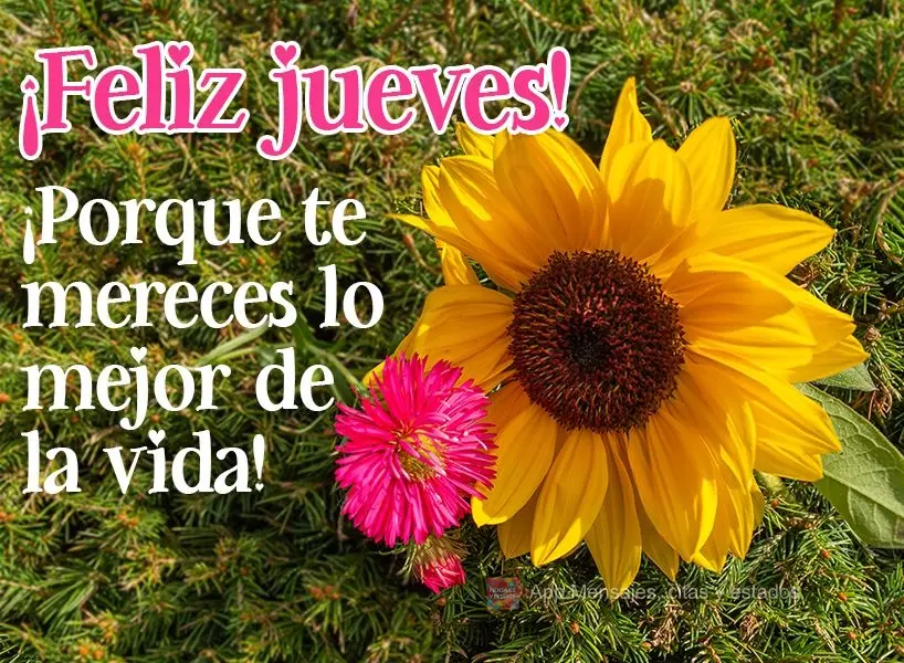 ¡Feliz jueves! ¡Porque te mereces lo mejor de la vida!