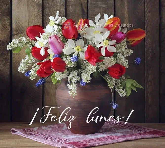 ¡Feliz lunes!