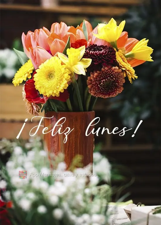 ¡Feliz lunes!
