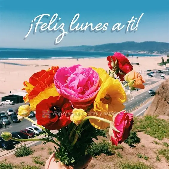 ¡Feliz lunes a ti!
