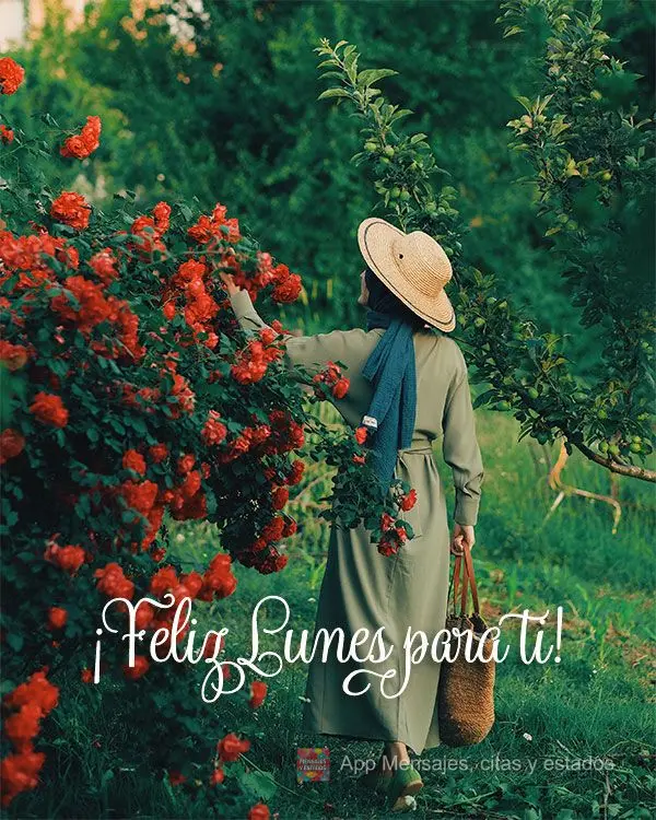 ¡Feliz lunes para ti!