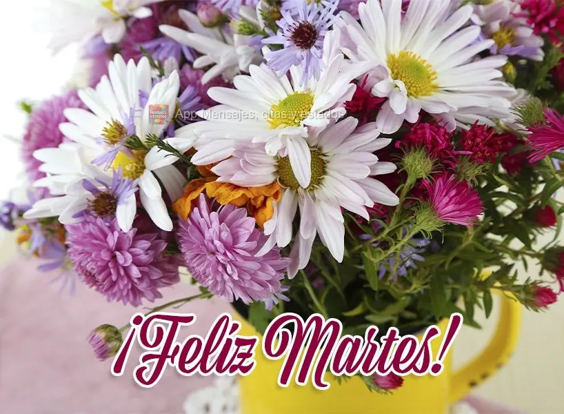 ¡Feliz martes!
