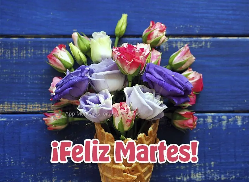 ¡Feliz martes!