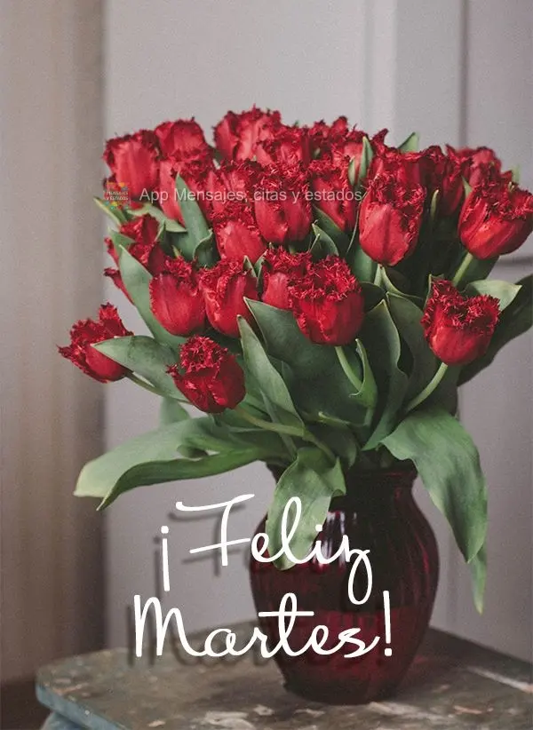 ¡Feliz martes!