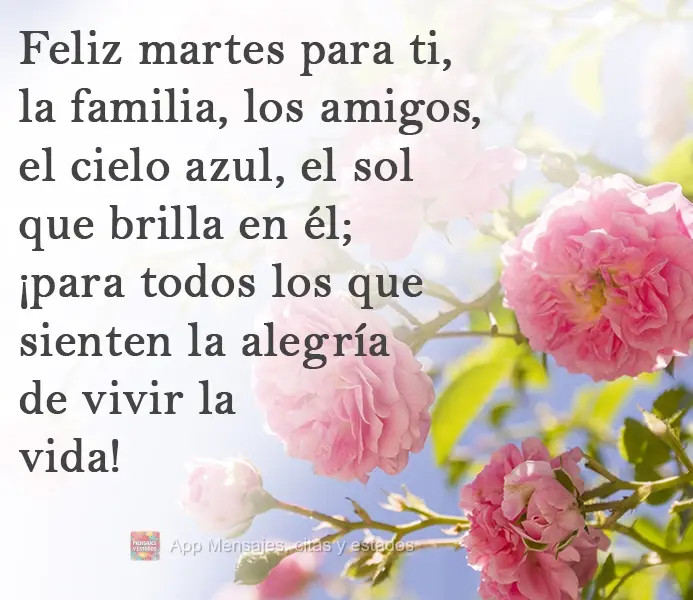 Feliz martes para ti, la familia, los amigos, el cielo azul, el sol que brilla en él; ¡para todos los que sienten la alegría de vivir la vida!