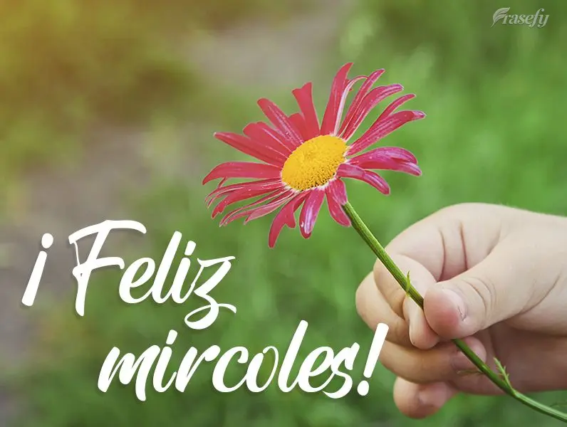 ¡Feliz miércoles!