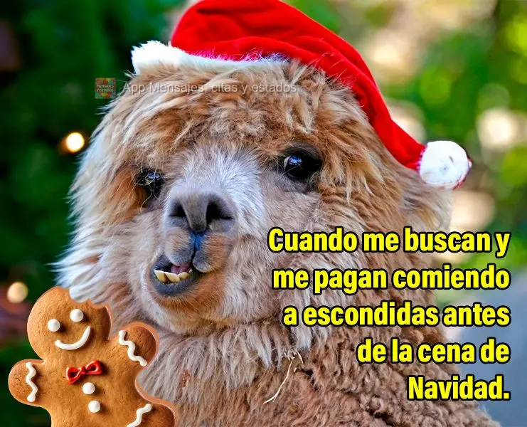 Cuando me buscan y me pagan comiendo a escondidas antes de la cena de Navidad.