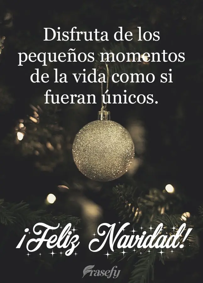 Disfruta de los pequeños momentos de la vida como si fueran únicos. ¡Feliz Navidad!