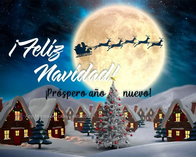 ¡Feliz navidad! ¡Próspero año nuevo!