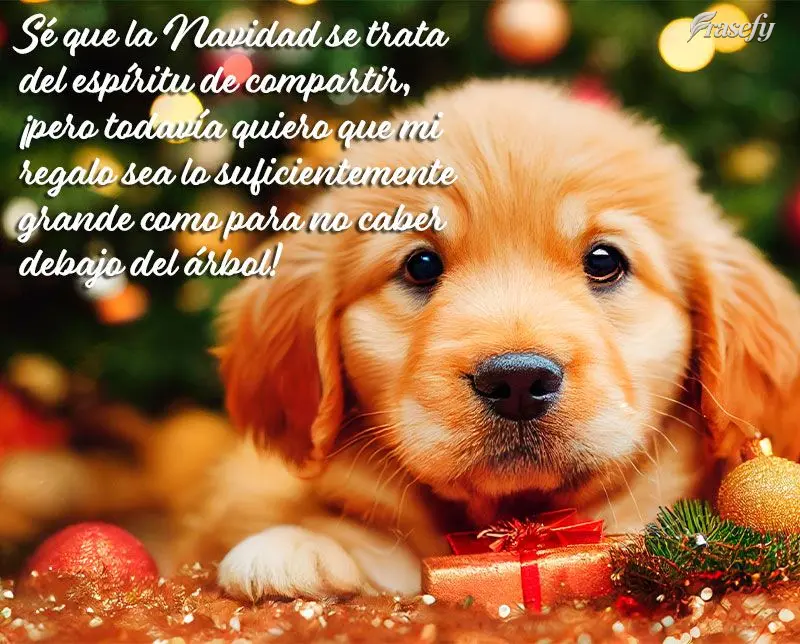 Sé que la Navidad se trata del espíritu de compartir, ¡pero todavía quiero que mi regalo sea lo suficientemente grande como para no caber debajo del ...