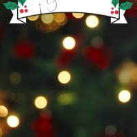 ¡Feliz Navidad y próspero Año Nuevo!