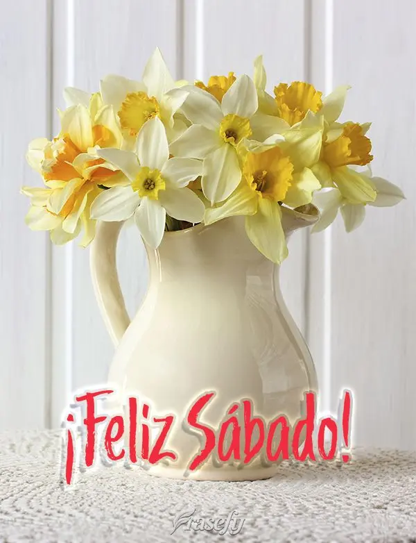 ¡Feliz Sábado!