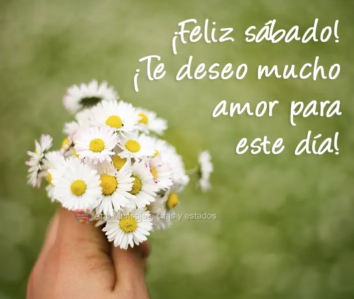 ¡Feliz sábado! ¡Te deseo mucho amor para este día!