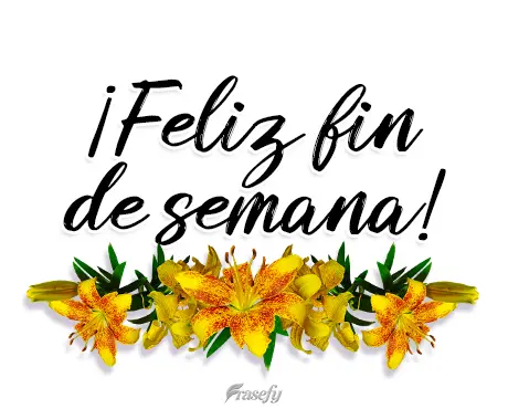 ¡Feliz fin de semana!