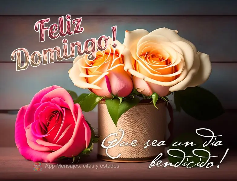 ¡Fin de semana!
