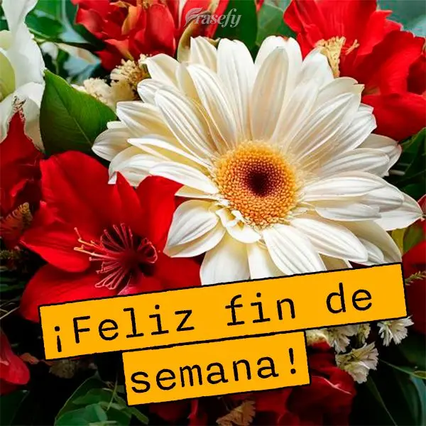 ¡Feliz fin de semana!