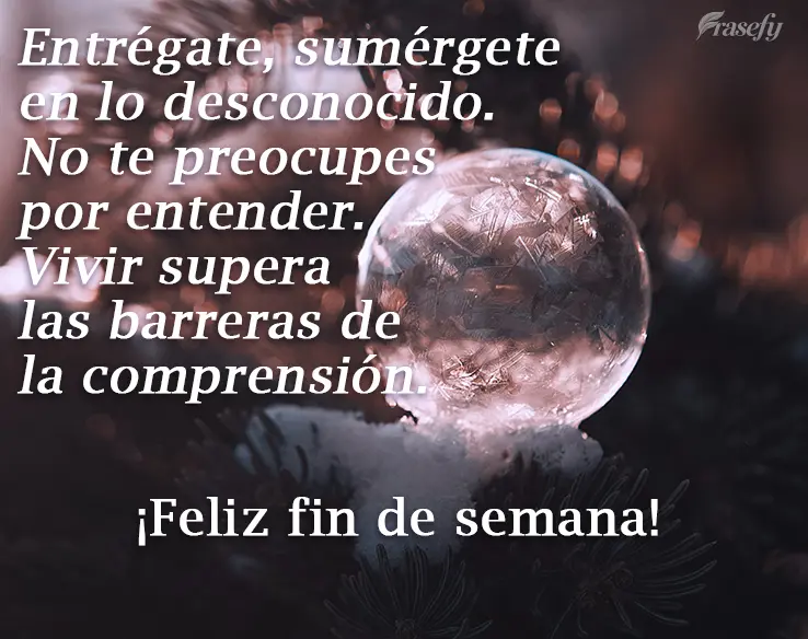 Entrégate, sumérgete en lo desconocido. No te preocupes por entender. Vivir supera las barreras de la comprensión. ¡Feliz fin de semana!