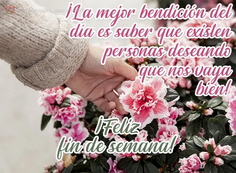 ¡La mejor bendición del día es saber que existen personas deseando que nos vaya bien! ¡Feliz fin de semana!