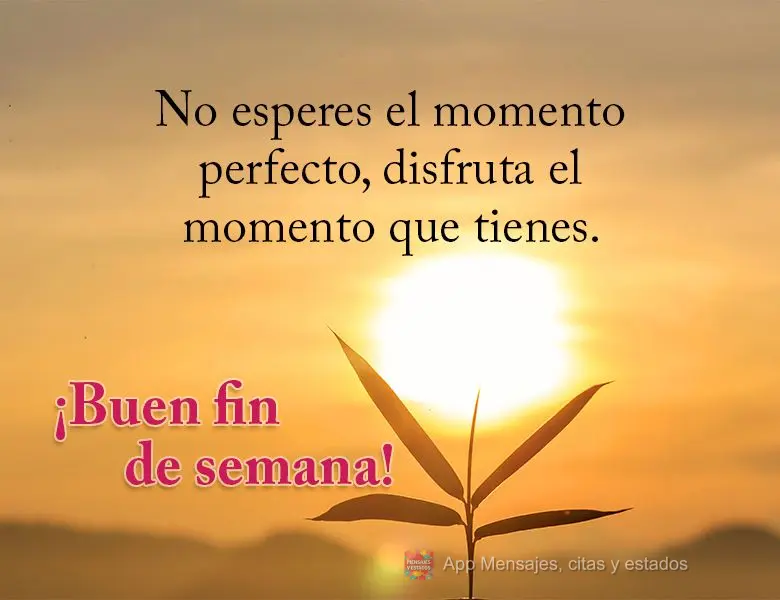 No esperes el momento perfecto, disfruta el momento que tienes. ¡Buen fin de semana!
