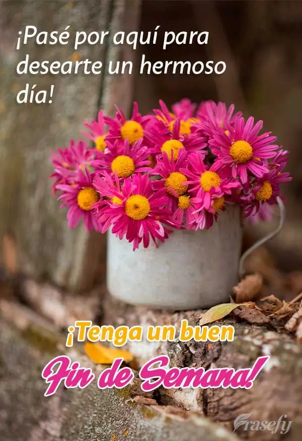 ¡Pasé por aquí para desearte un hermoso día! ¡Tenga un buen fin de semana!