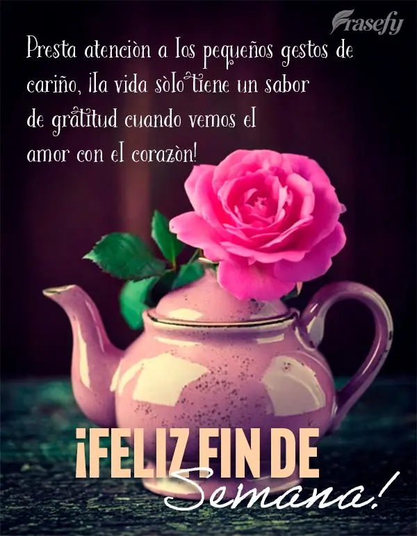 Presta atención a los pequeños gestos de cariño, ¡la vida sólo tiene un sabor de gratitud cuando vemos el amor con el corazón! ¡Feliz fin de seman...