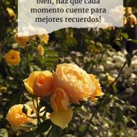 ¡Sé intenso cuando estés en compañía de personas que te hacen bien, haz que cada momento cuente para mejores recuerdos! ¡Feliz fin de semana!