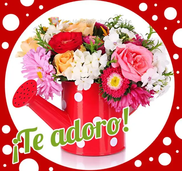 ¡Te adoro!