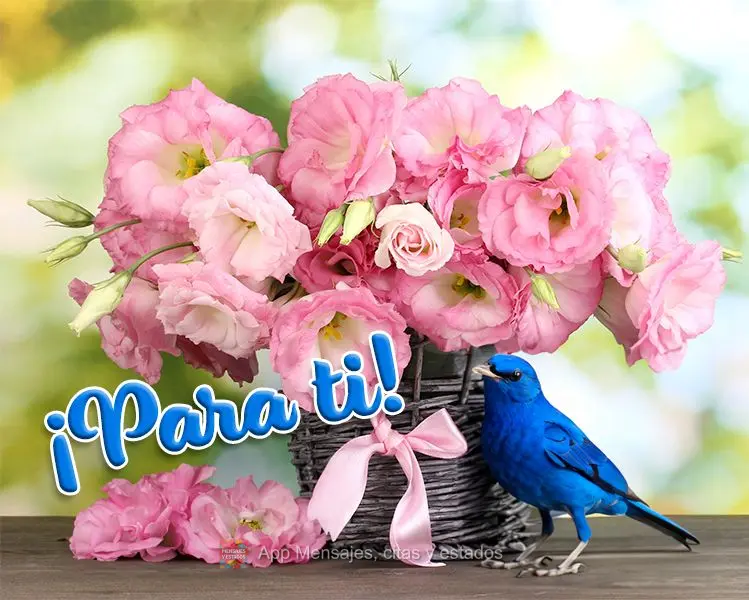 ¡Para ti!