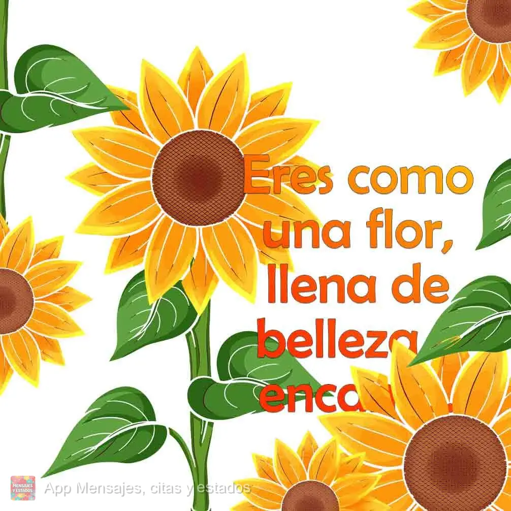 Eres como una flor, llena de belleza y encanto.