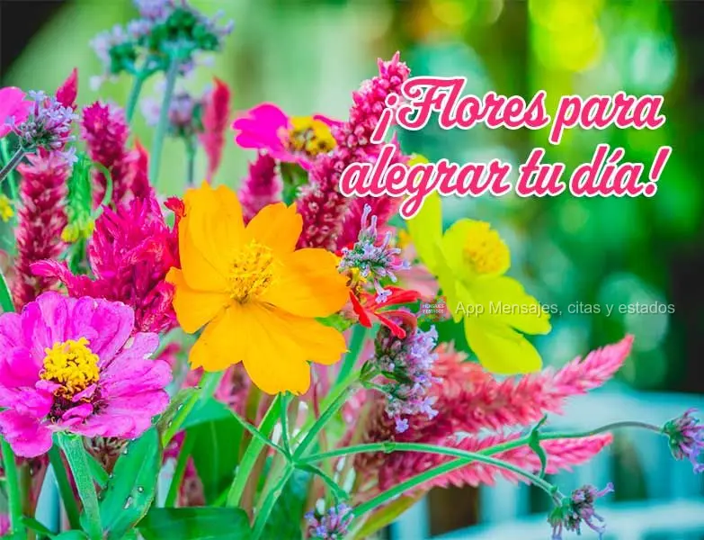 ¡Flores para alegrar tu día!