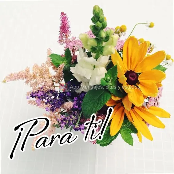 ¡Para ti!