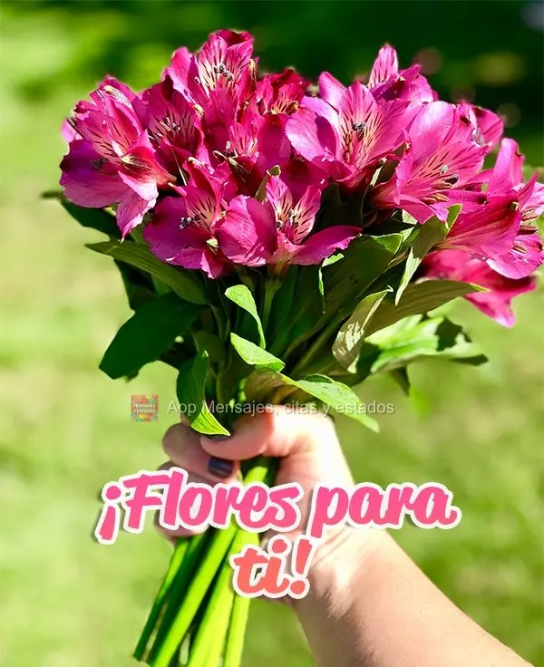 ¡Flores para ti!
