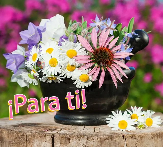 ¡Para ti!