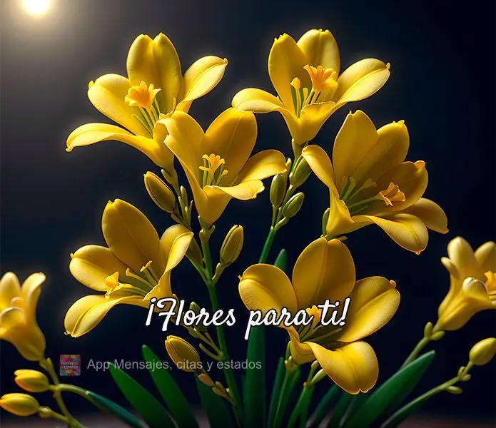 ¡Flores para ti!